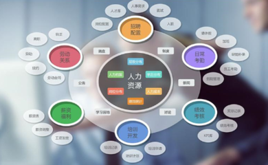 企业管理软件与咨询 双轮驱动，赋能企业数字化转型