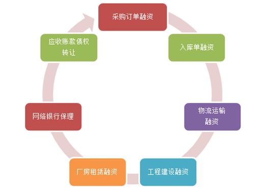 金风科技高金山 风电领军者的财资管理之道